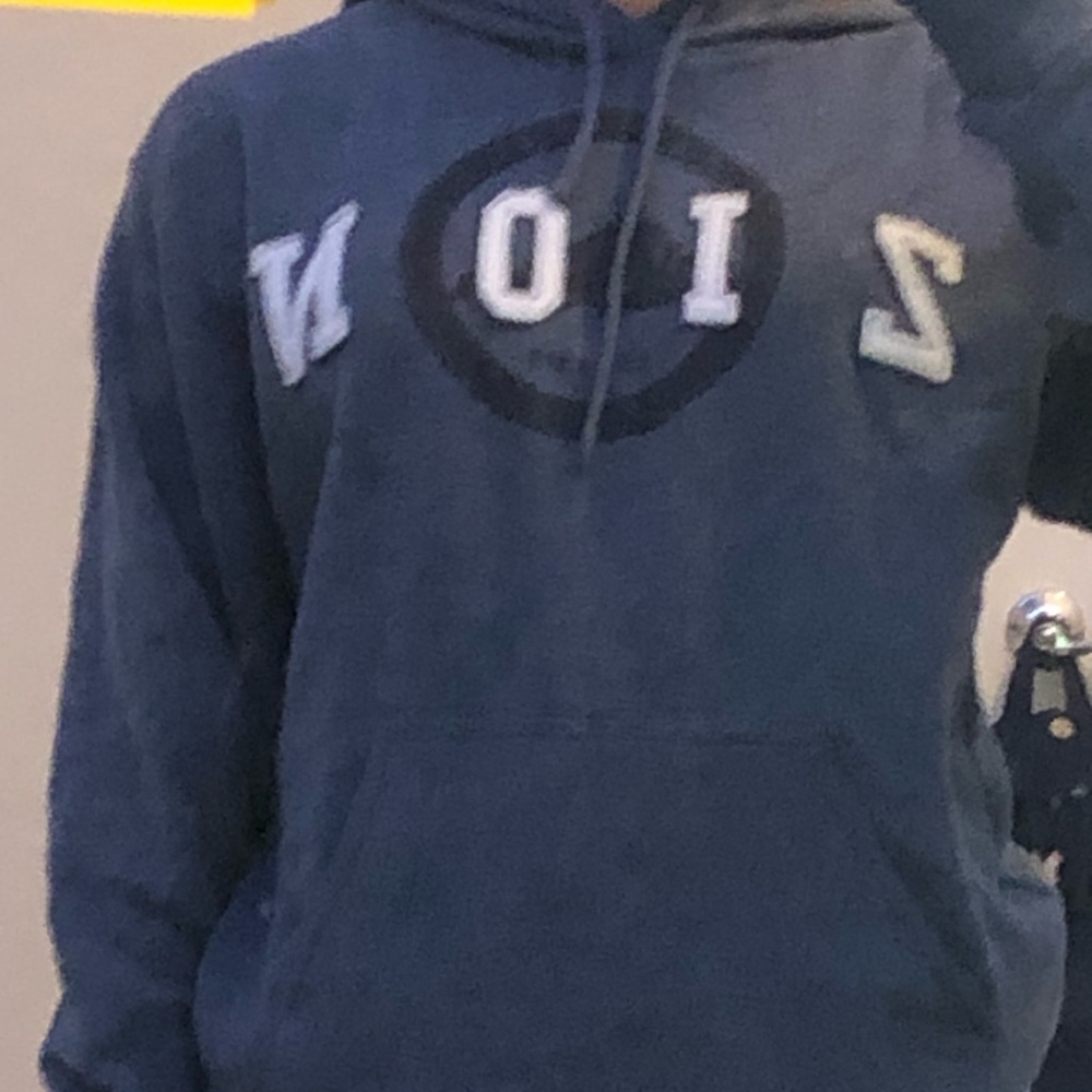 zion national park hoodie